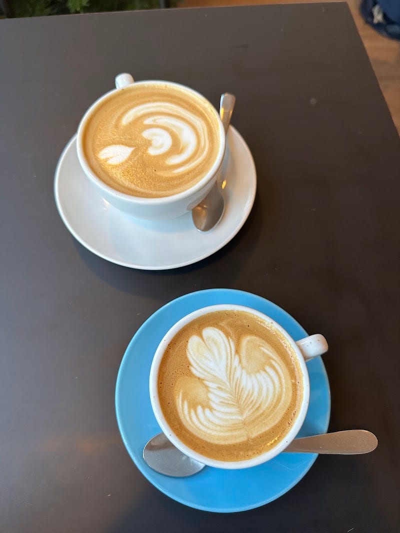 Machina Coffee - Marchmont Cafe, Edinburgh