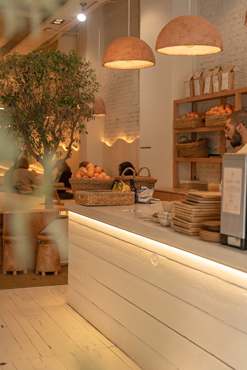 Bloome by Sasha | Passeig Sant Joan, Barcelona