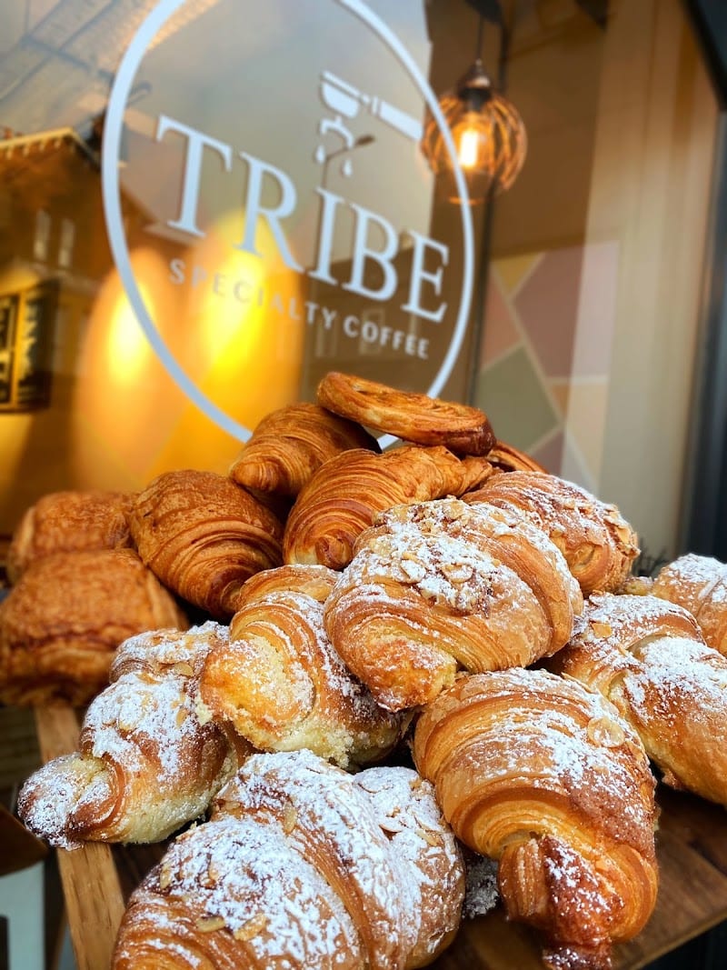 TRIBE D6, Dublin