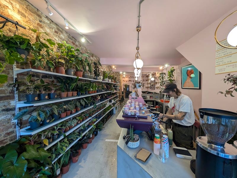 Urban Botanica, London