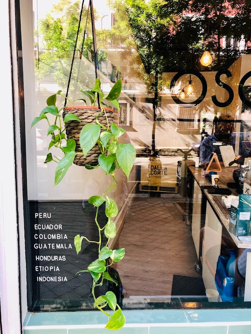 OSO CAFÉ, Madrid
