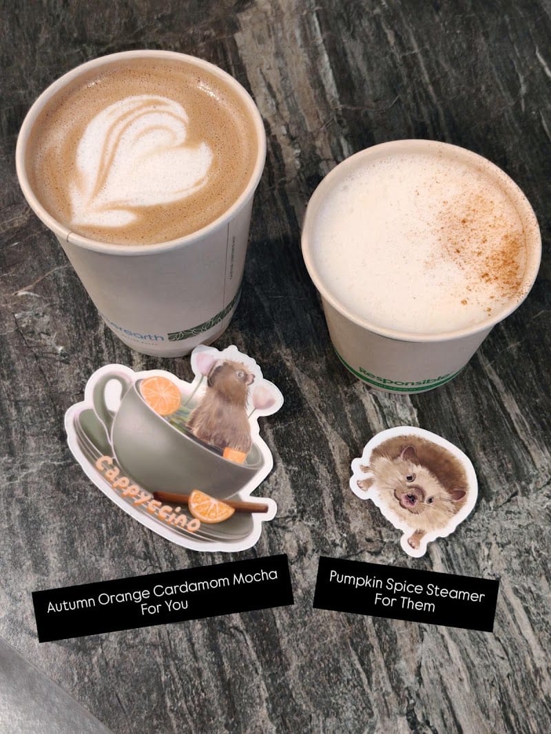 Good Vybes & Brews | Speciality Coffee and Tea, Oakland