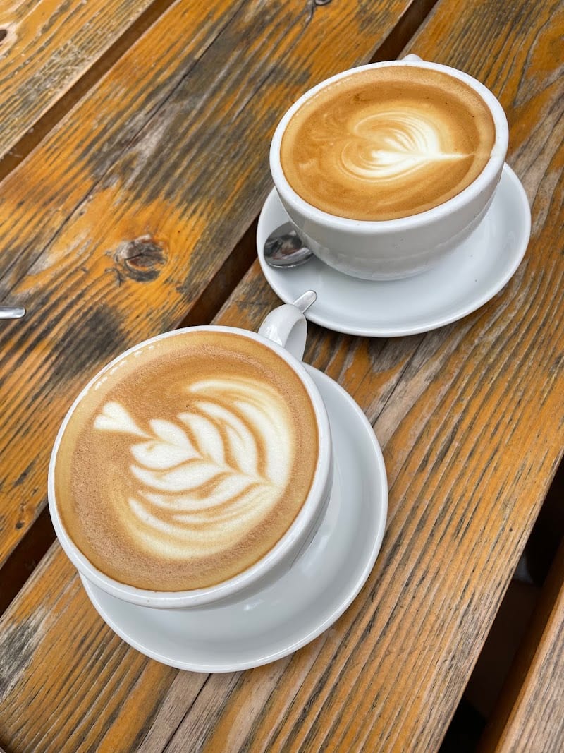 Kaffeesaurus, Cologne