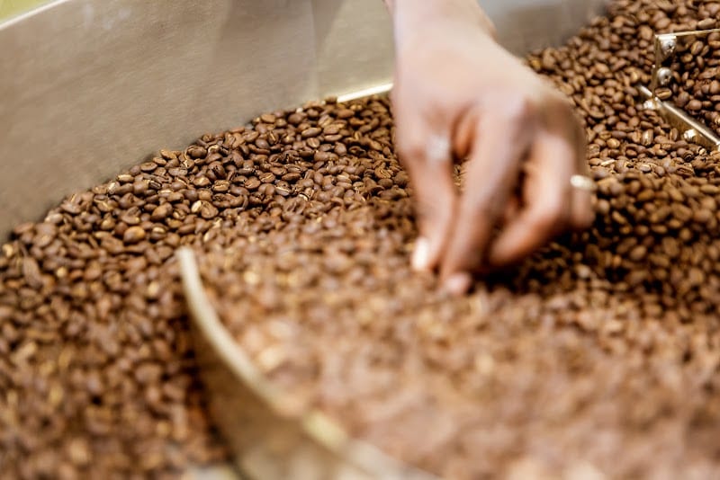 Impact Roasters, Copenhagen