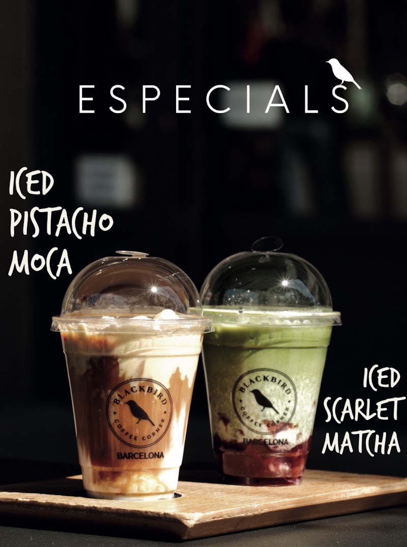 Blackbird Coffee Corner - Balmes, Barcelona