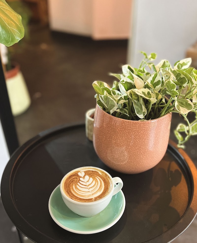 The Little Cactus - Speciality Coffee & Food, Dublin