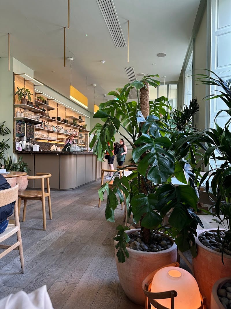 Mayvn Cafe, Edinburgh
