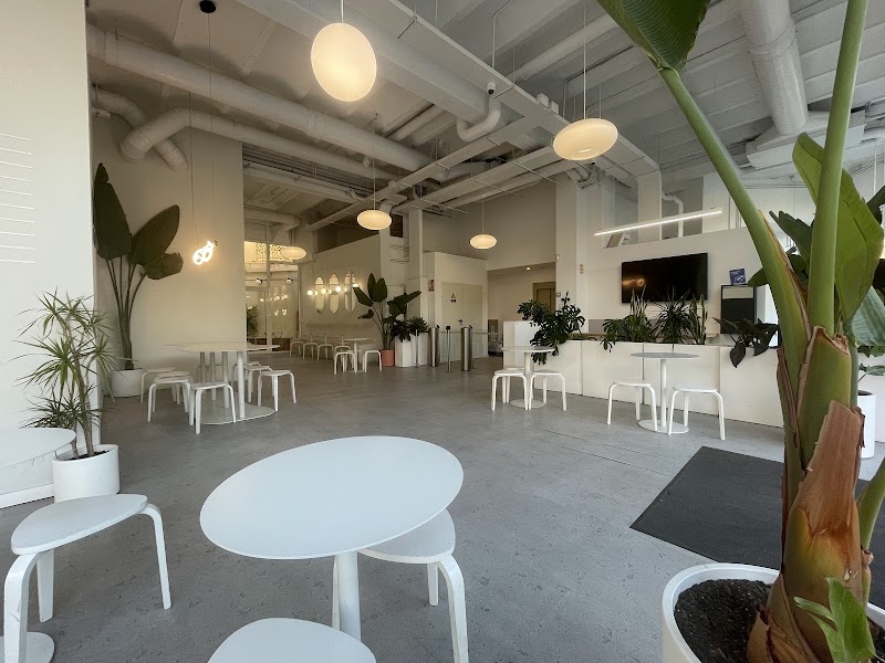 Mono Cafè | Poblenou, Barcelona