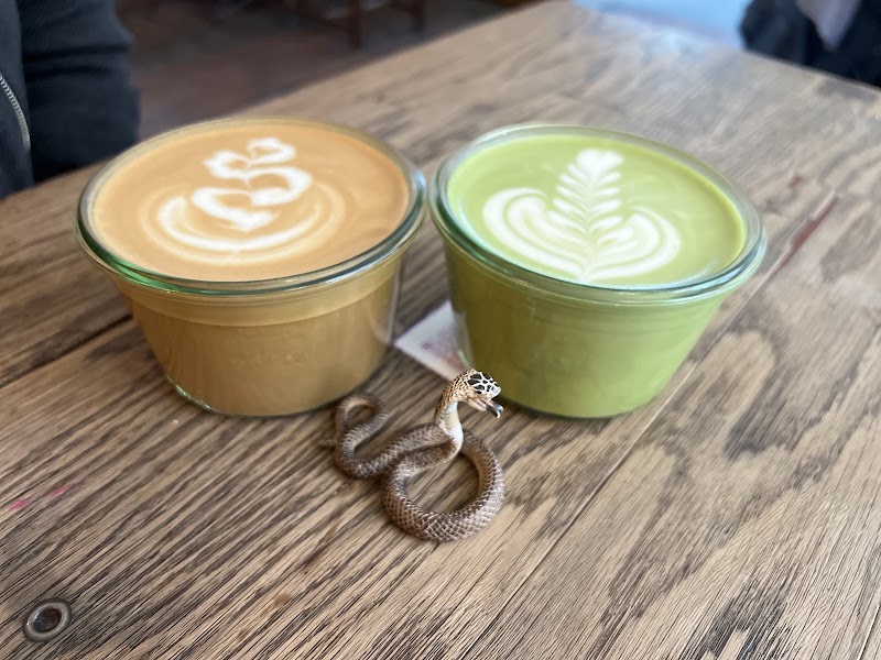 Hommage Café, Cologne